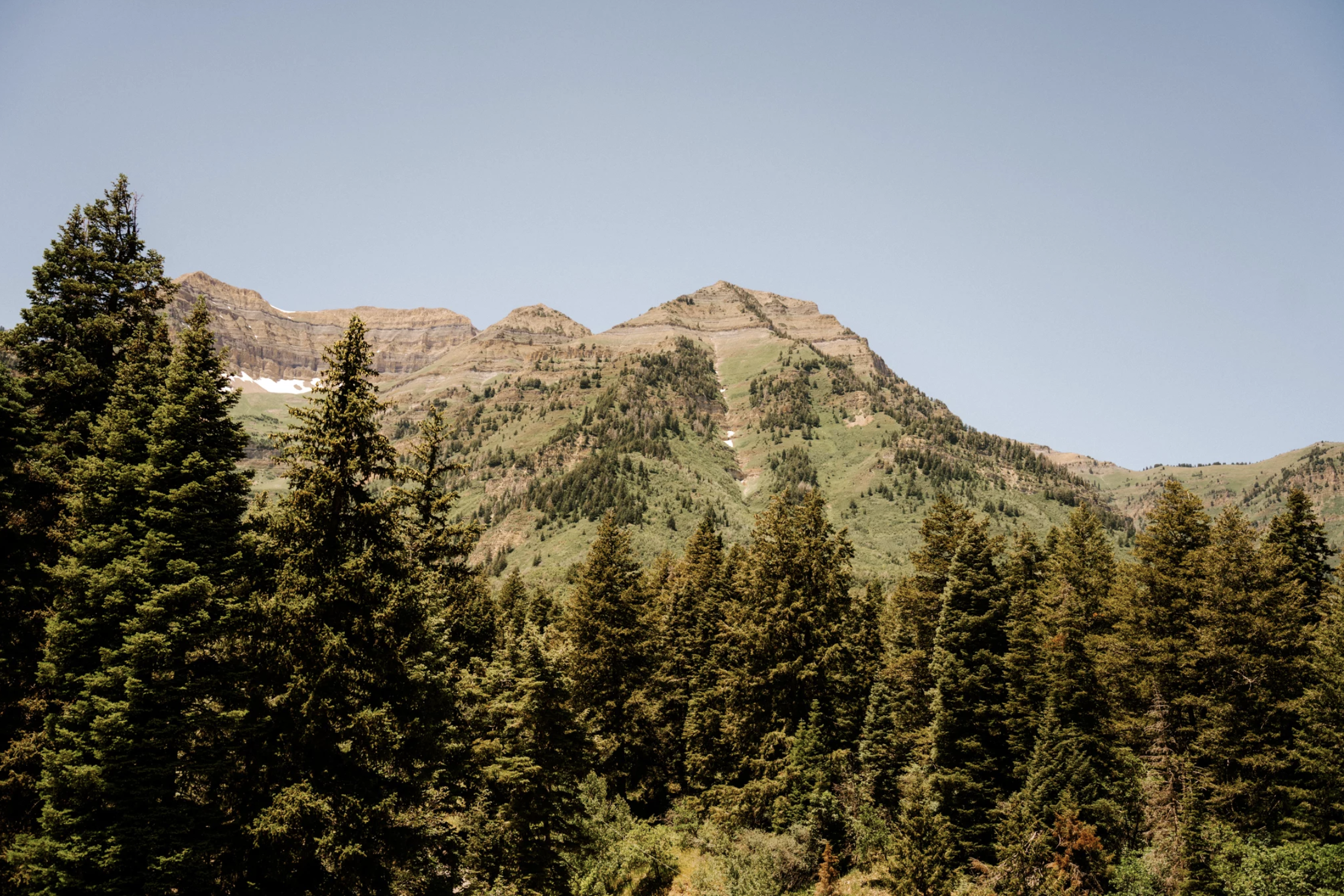 Screen Shot 2024-11-25 at 10.14.27 AM.png