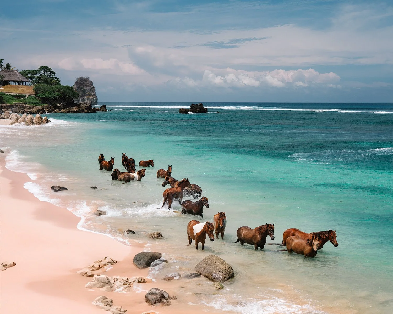 travel Agent Testimonial