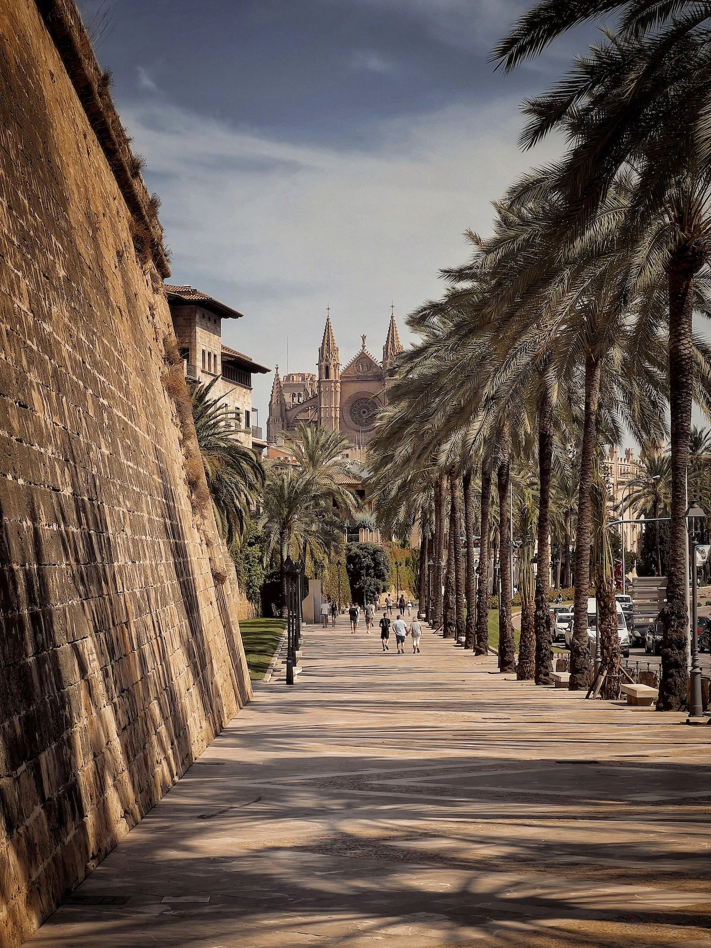 A sunny promenade lined with palm trees and historic buildings, with a view of a large, ornate church or cathedral in the background.