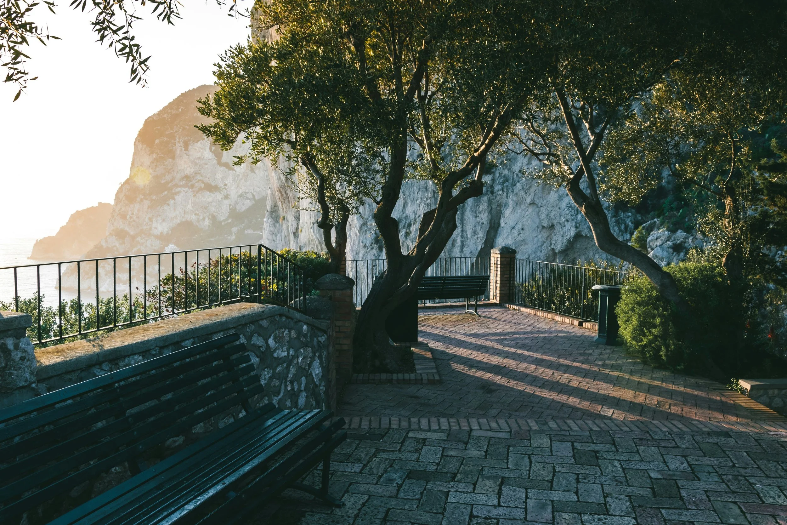 Scenic view of a stone and brick pathway with benches and trees, overlooking cliffs and ocean at sunset.