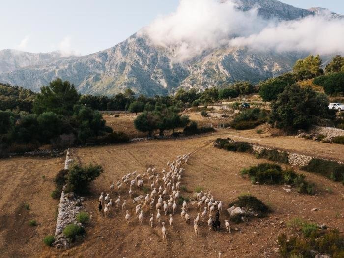 Women's Retreat Morocco Essaouira Private Luxury for females