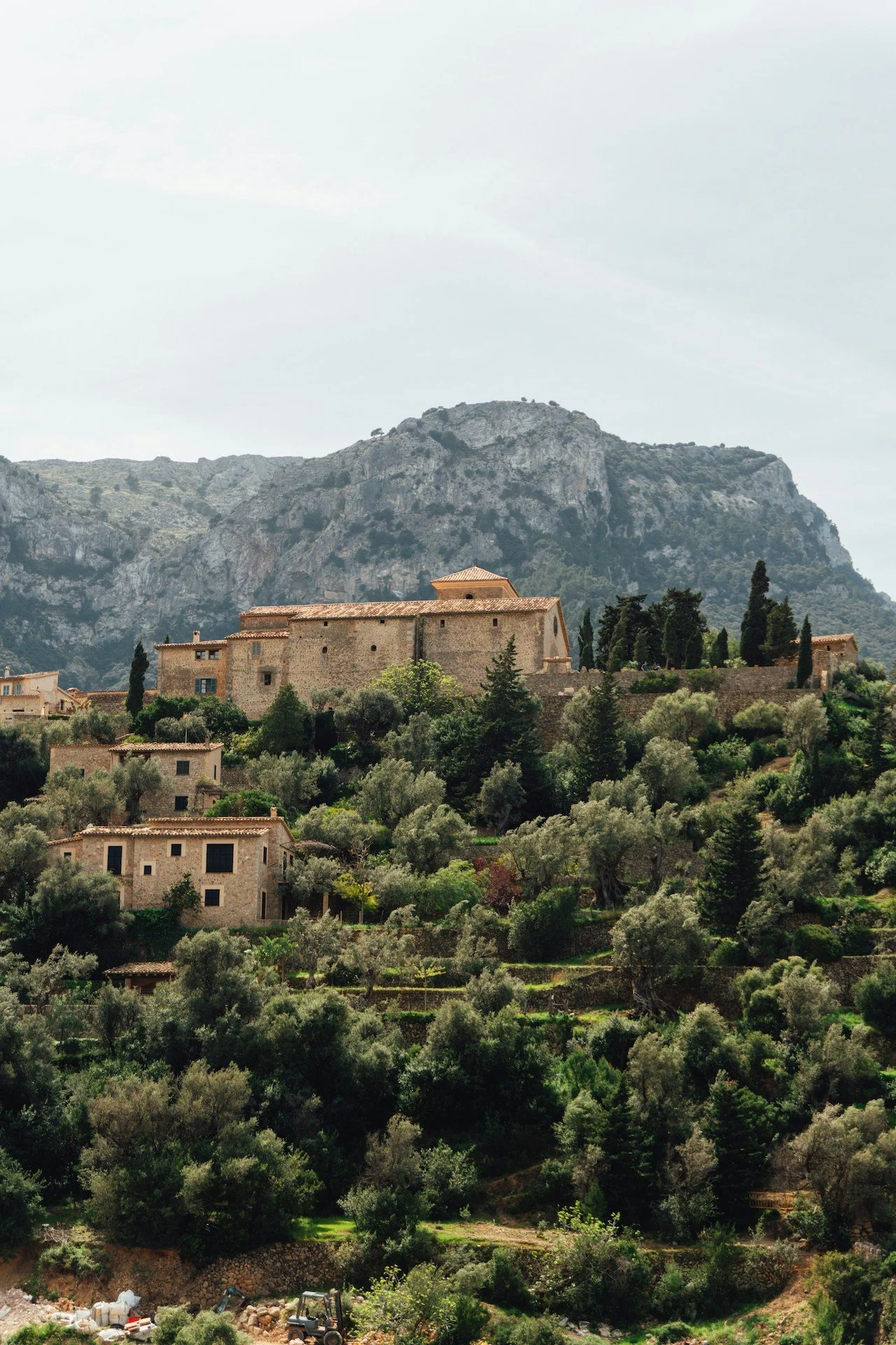 A hillside with numerous trees and houses, with a large stone building at the top, set against a backdrop of mountains.