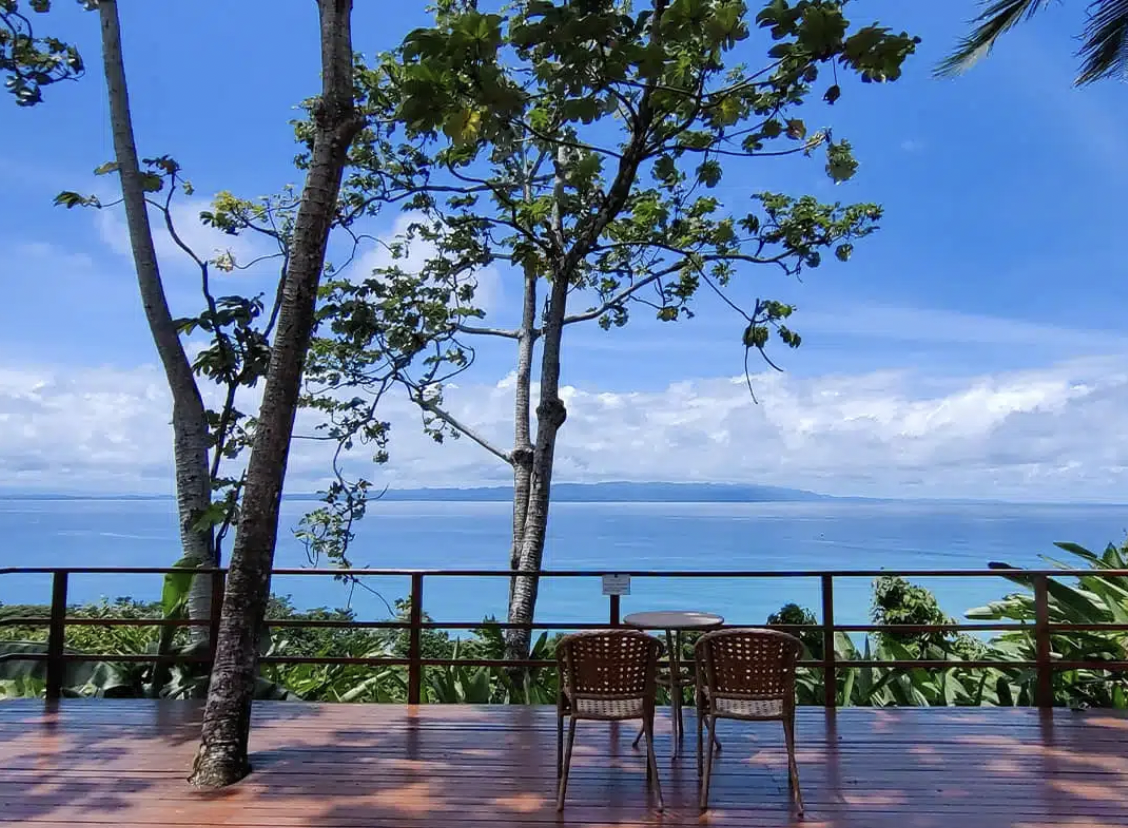 Screen Shot 2025-06-04 at 12.15.28 PM.png