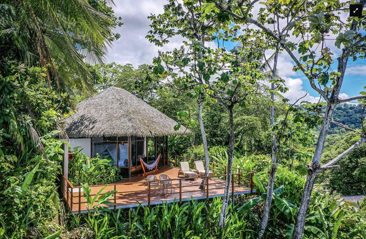 Screen Shot 2025-06-04 at 12.15.21 PM.png