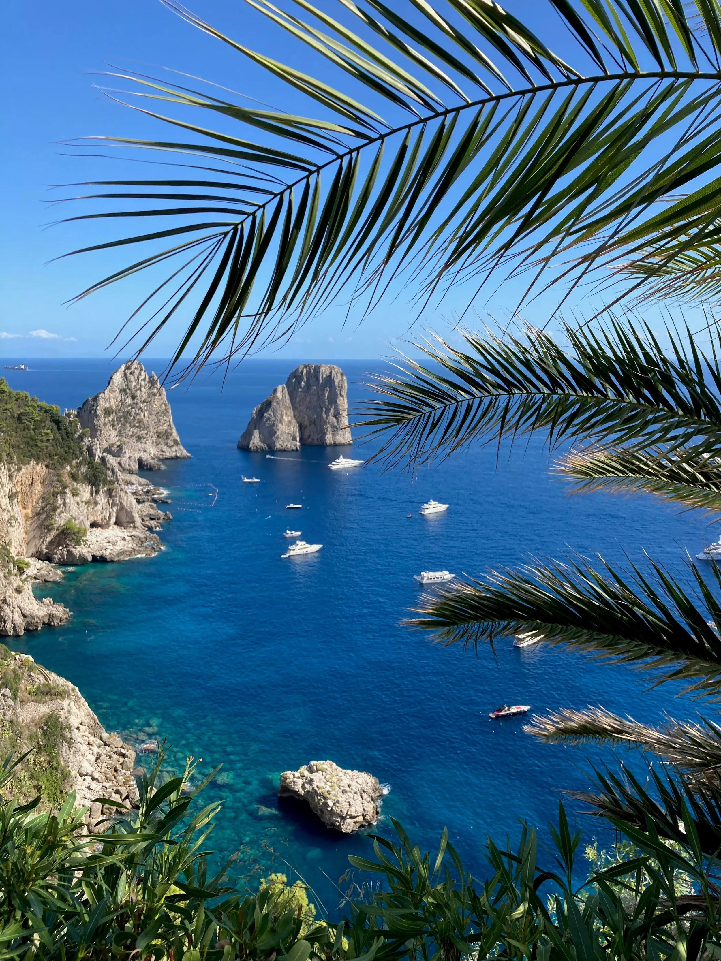 Scenic view of Capri coastline with Faraglioni rock formations and boats on the blue sea, framed by palm leaves.