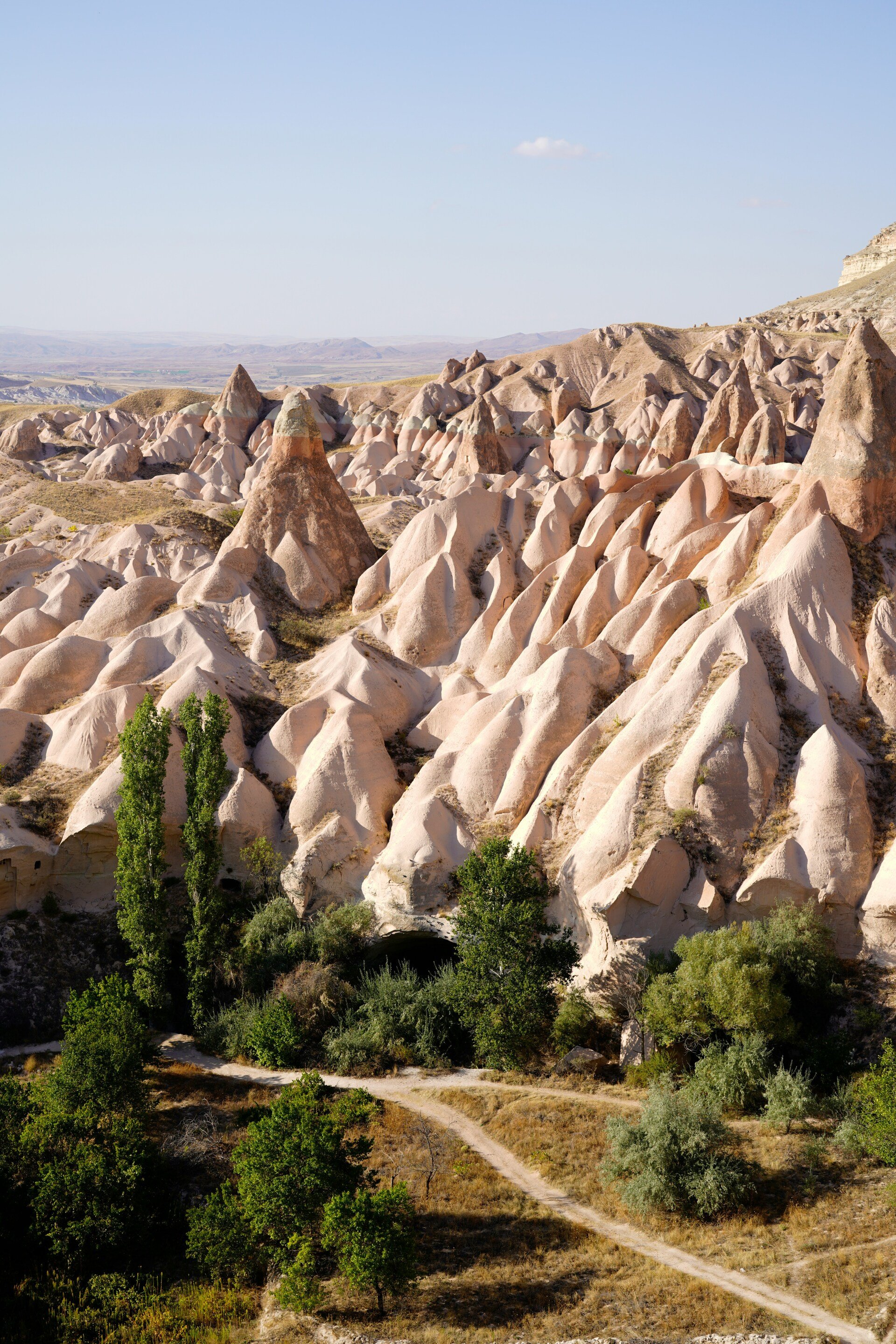 Rock formations in a dry landscape with scattered green trees and a dirt path.