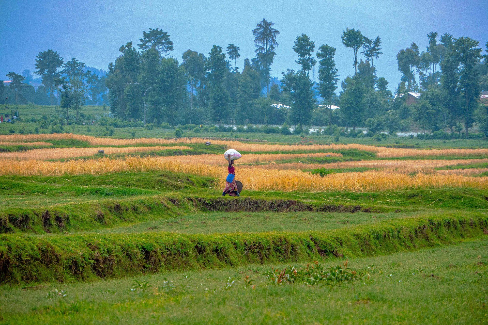 Luxury Iceland Adventure Private Tour
