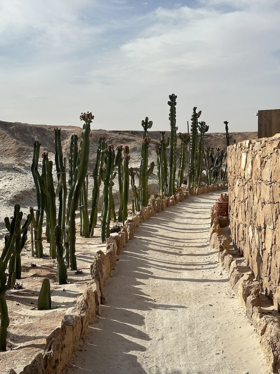 Tour deole Dakhla