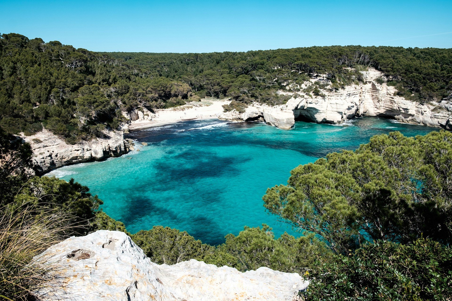 Coastline with turquoise water, rocky cliffs, and lush green trees under a clear blue sky.