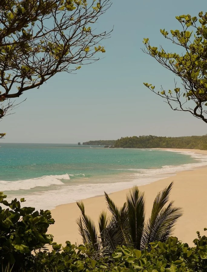 Scenic view of a sandy beach with gentle waves, framed by green trees and plants in the foreground, and a hill covered in trees in the distance under a clear blue sky.