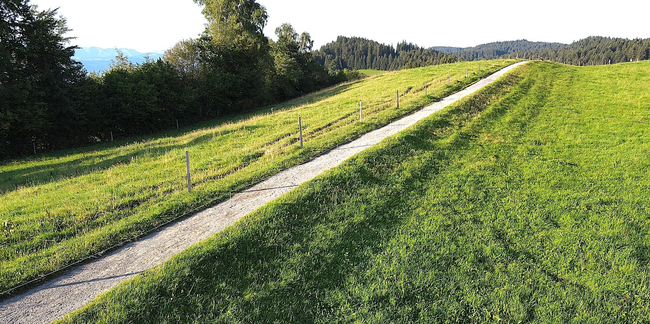 6 Höhenweg .jpg