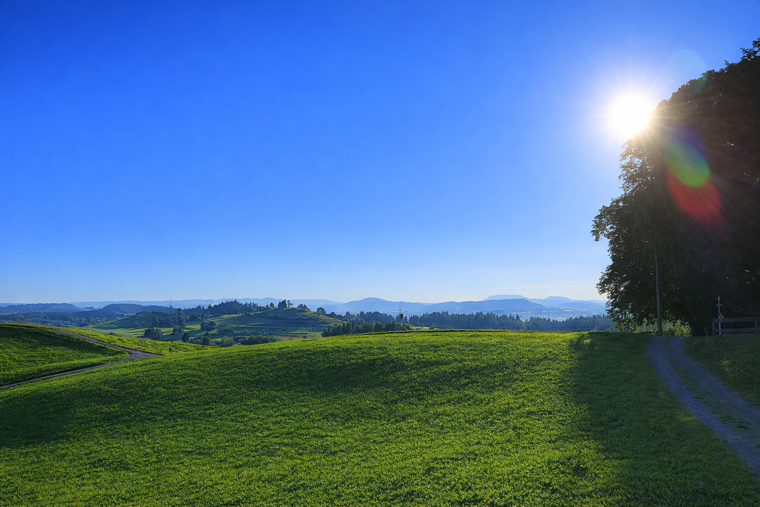 1001ChatGPT Image 17. Jan. 2026, 10_22_07.png