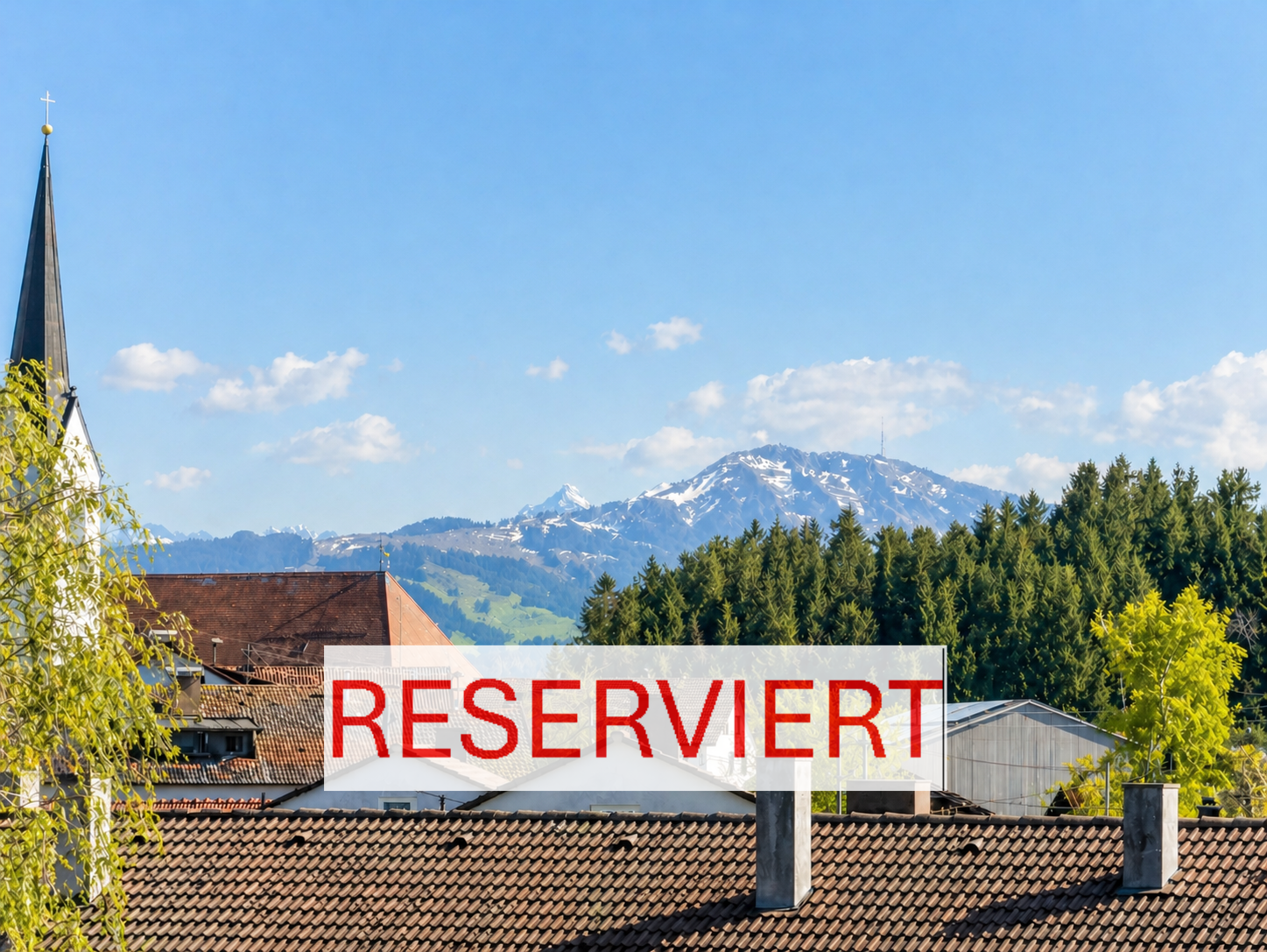 Rieker Immobilienmakler Allgau Bodensee.png