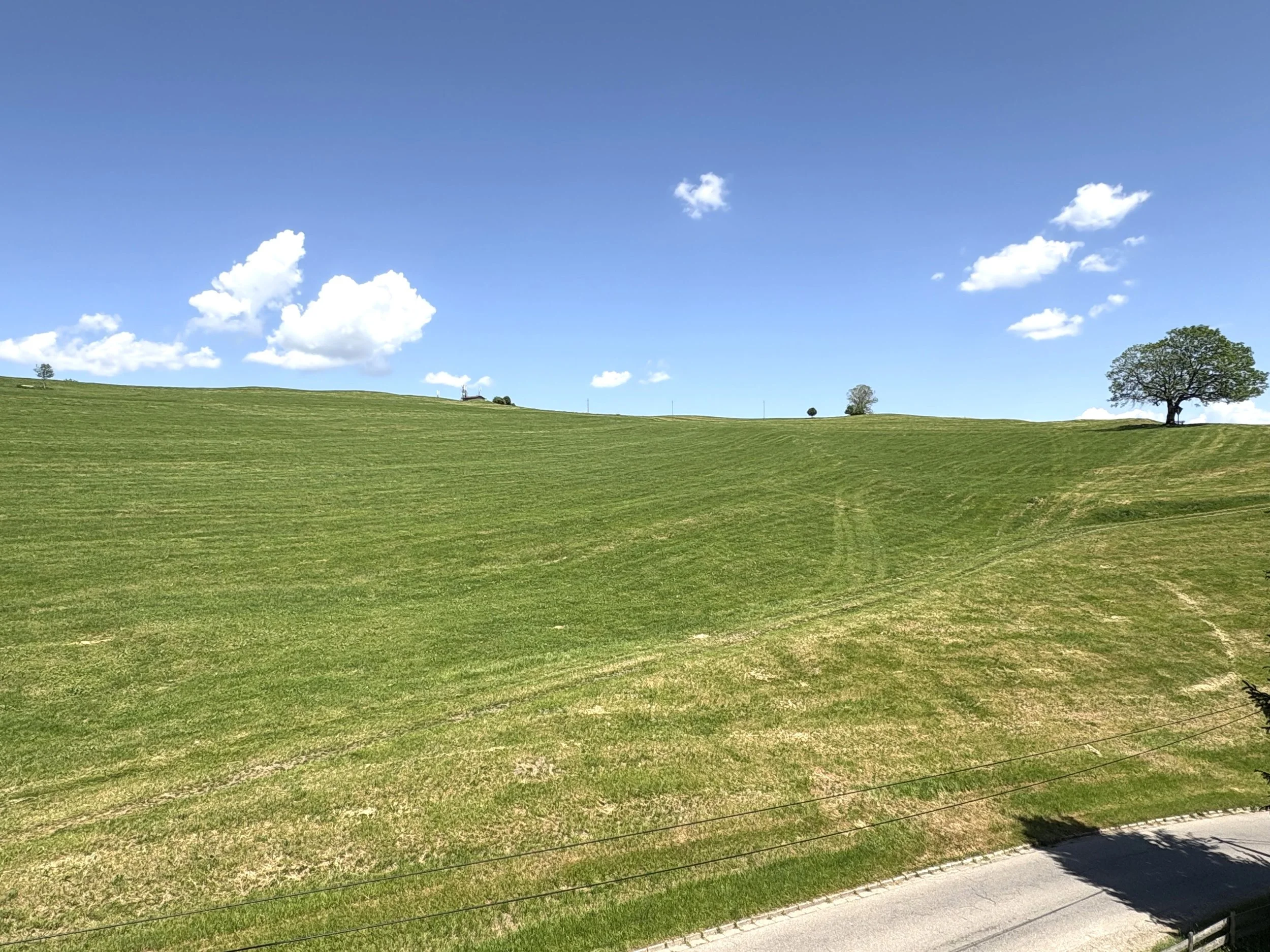 Rieker Immobilienmakler Isny Oberstaufen Kempten allgaeu bodensee