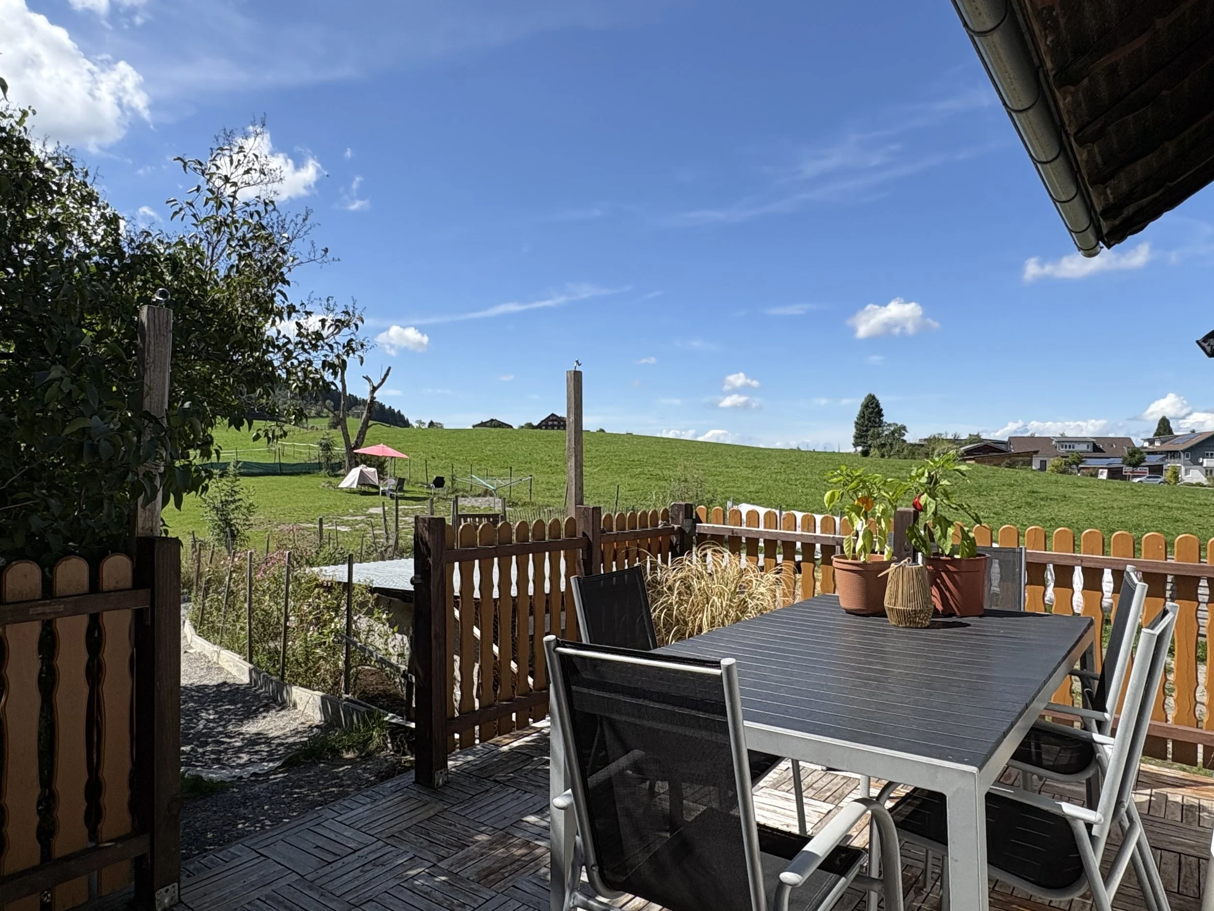 OG Süd-Terrasse.jpeg