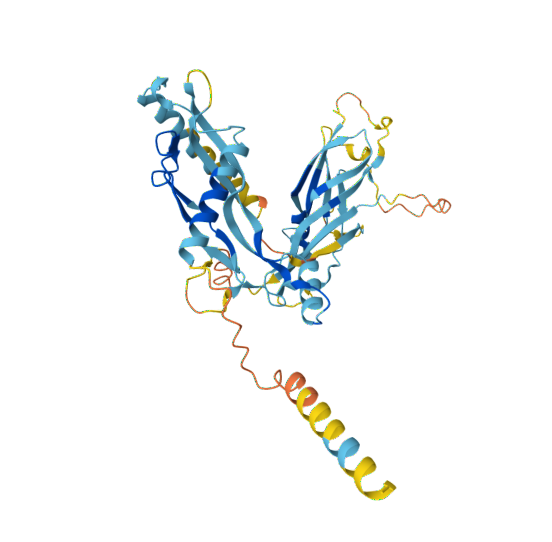 AF-D2XMS8-F1 (1).png