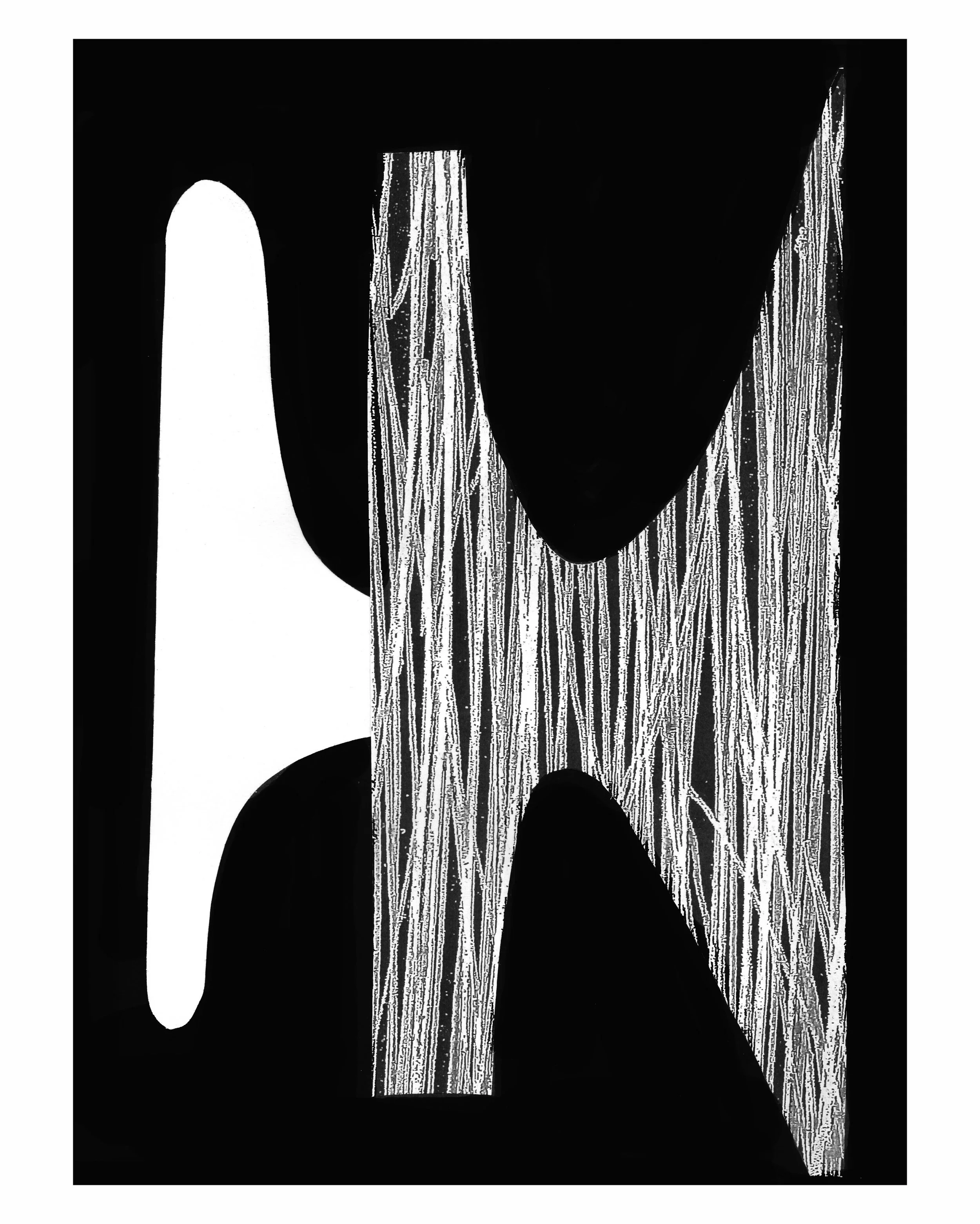 zineforms 4.jpg