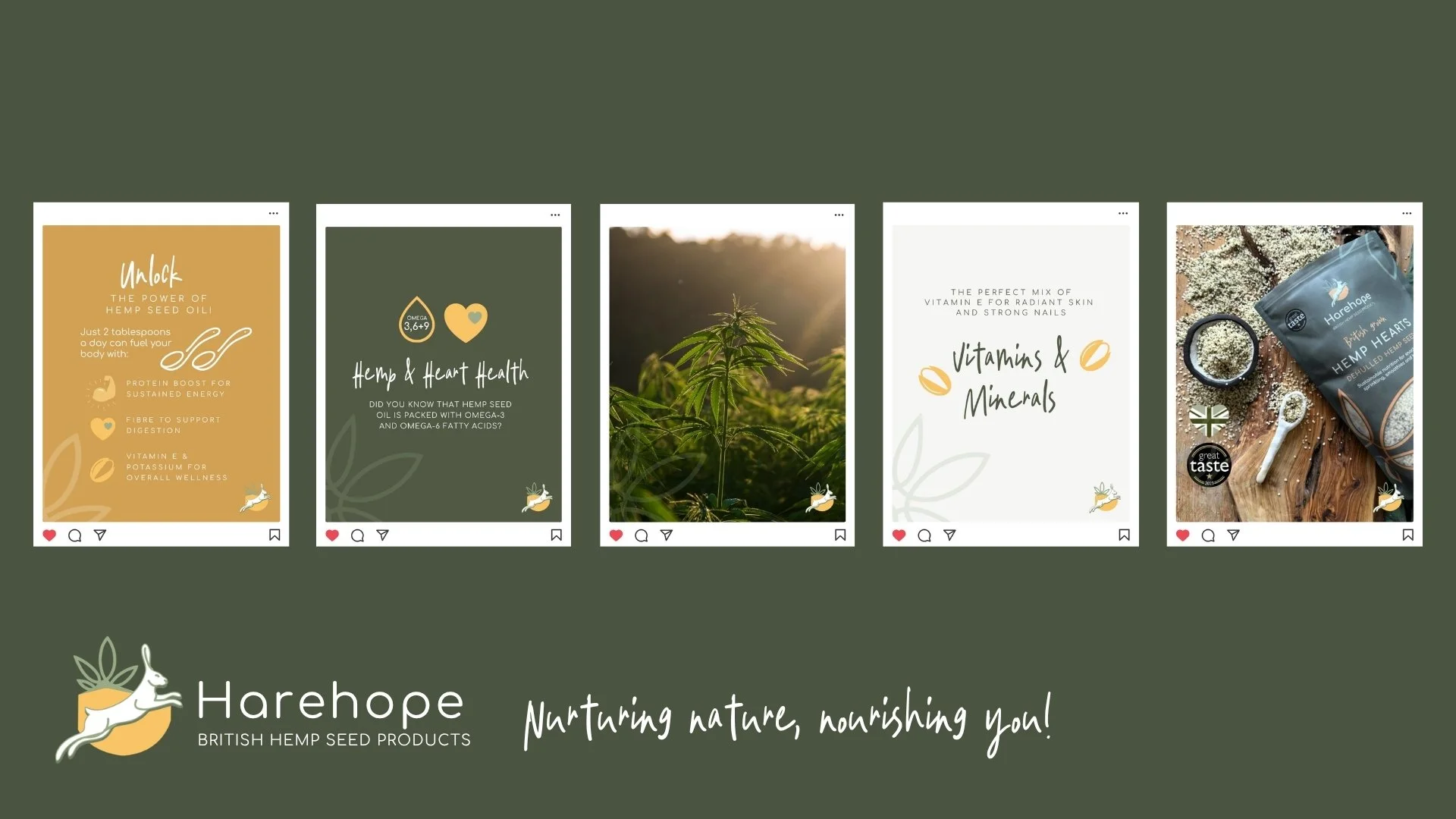 Harehope hemp seed products Instagram campaign featuring hemp oil benefits, omega-3 and omega-6 fatty acids, vitamins and minerals, hemp plant, and hemp hearts
