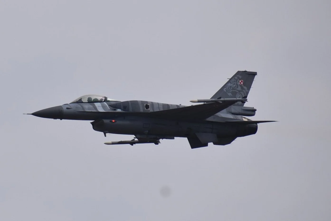 DSC_0085.jpg