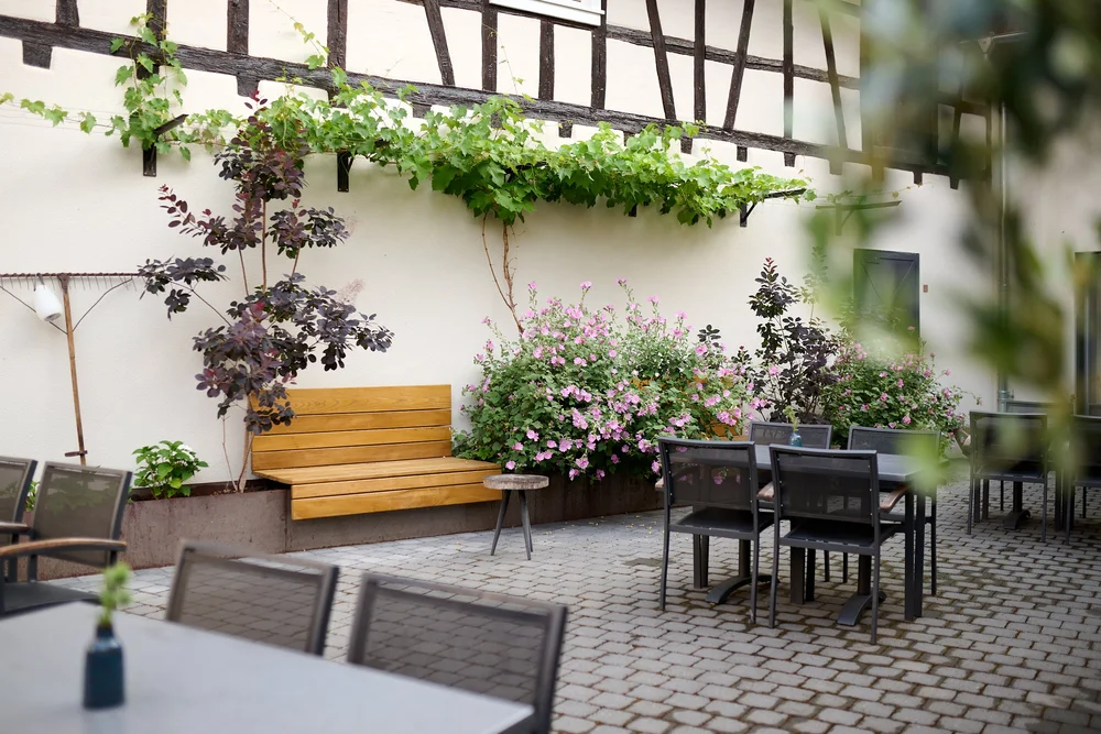 weingut_fritz_walter_garten_2023 1.1.jpg