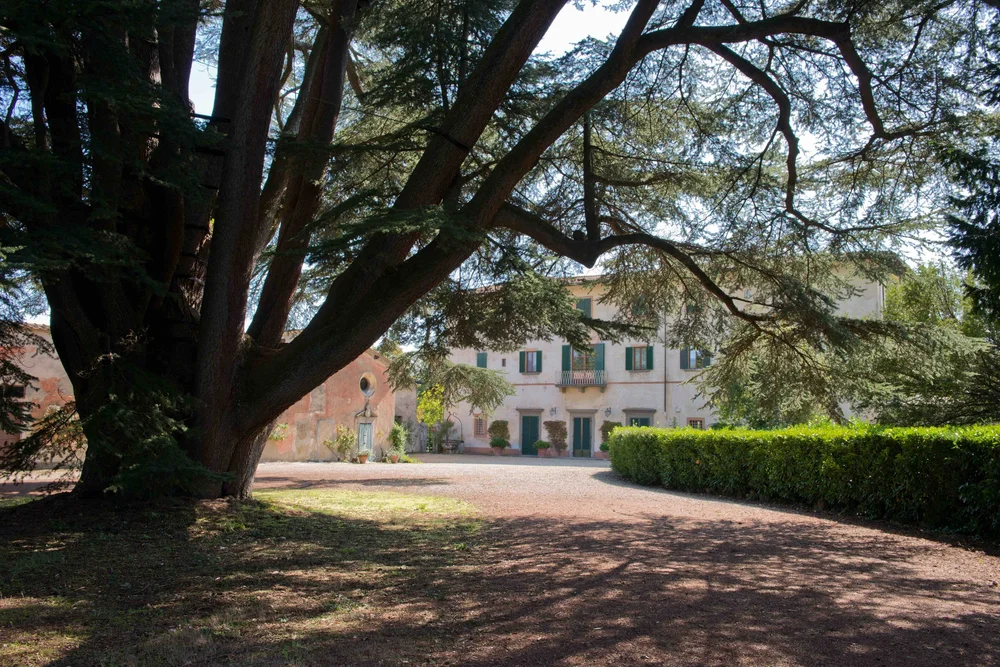 Villa Mozzete_4.jpeg