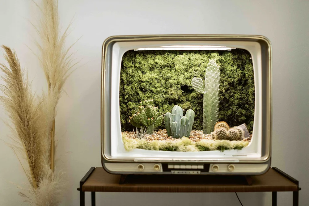 Urban Jungle_14.jpeg