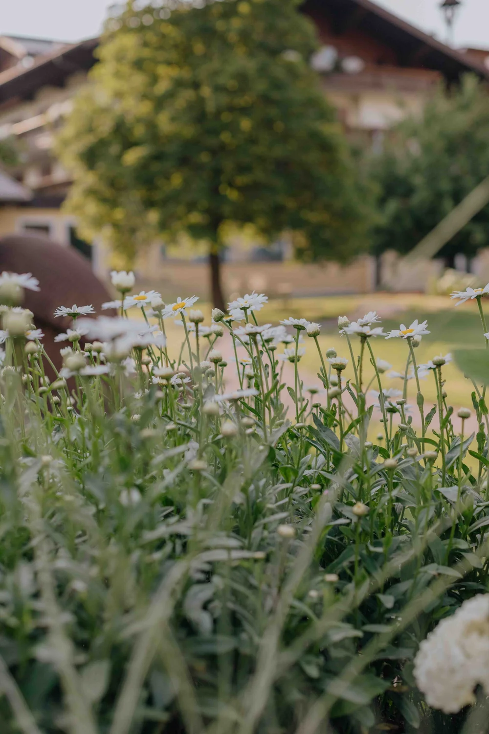 Gut Weissenhof_Hotel_Blumen.jpeg