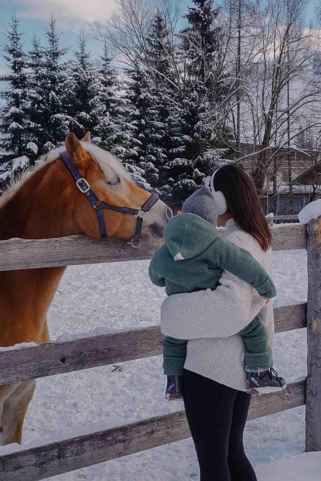 Gut Weissenhof_Winter_Pferd_MutterundKind.jpeg