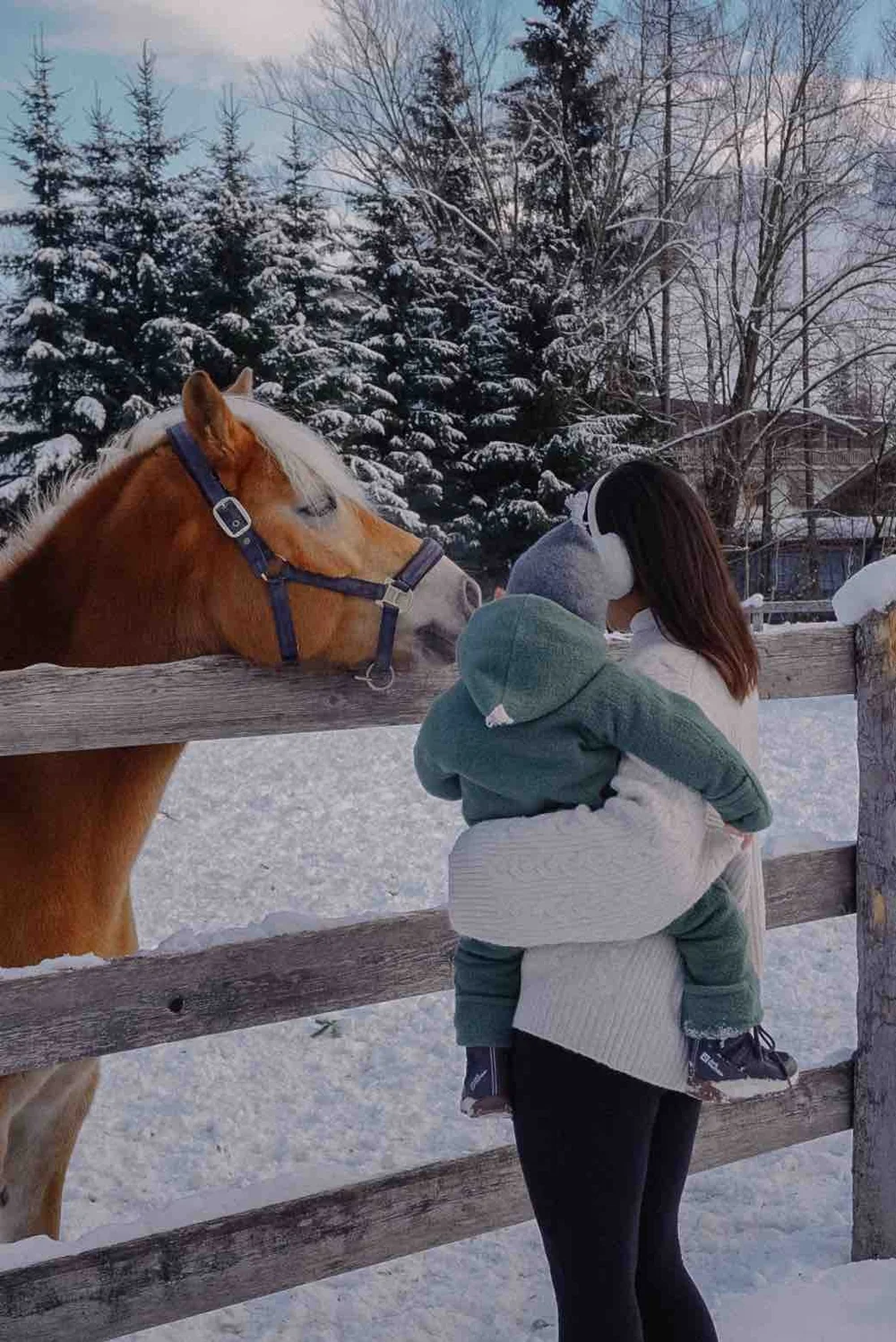Gut Weissenhof_Winter_Pferd_MutterundKind.jpeg
