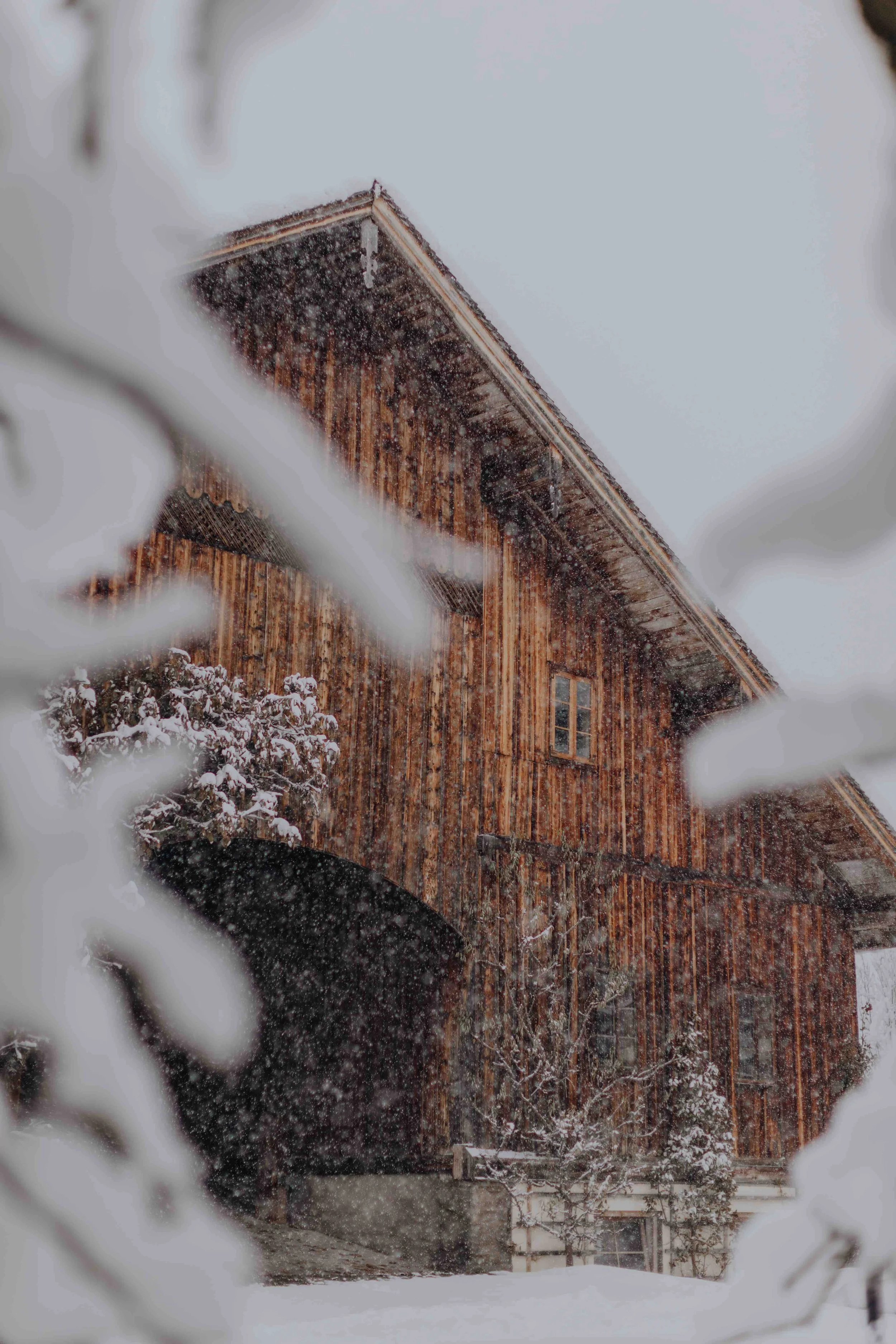 Gut Weissenhof_Winter_Stall_Schnee.jpeg
