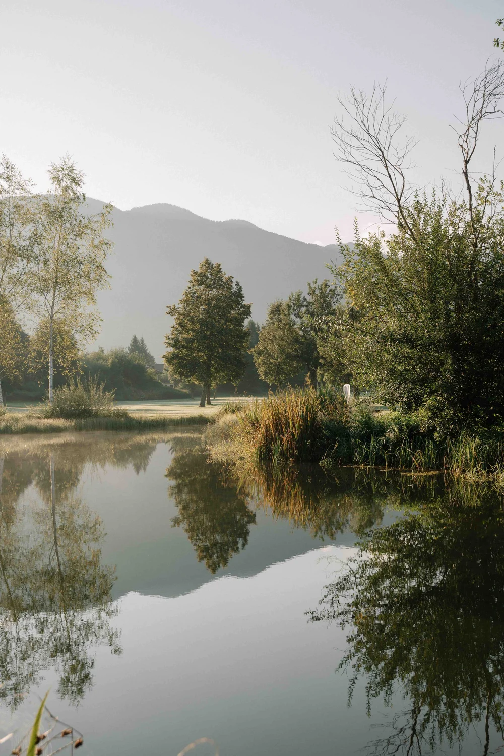 Gut Weissenhof_Radstadt_Golfplatz_Teich.jpeg