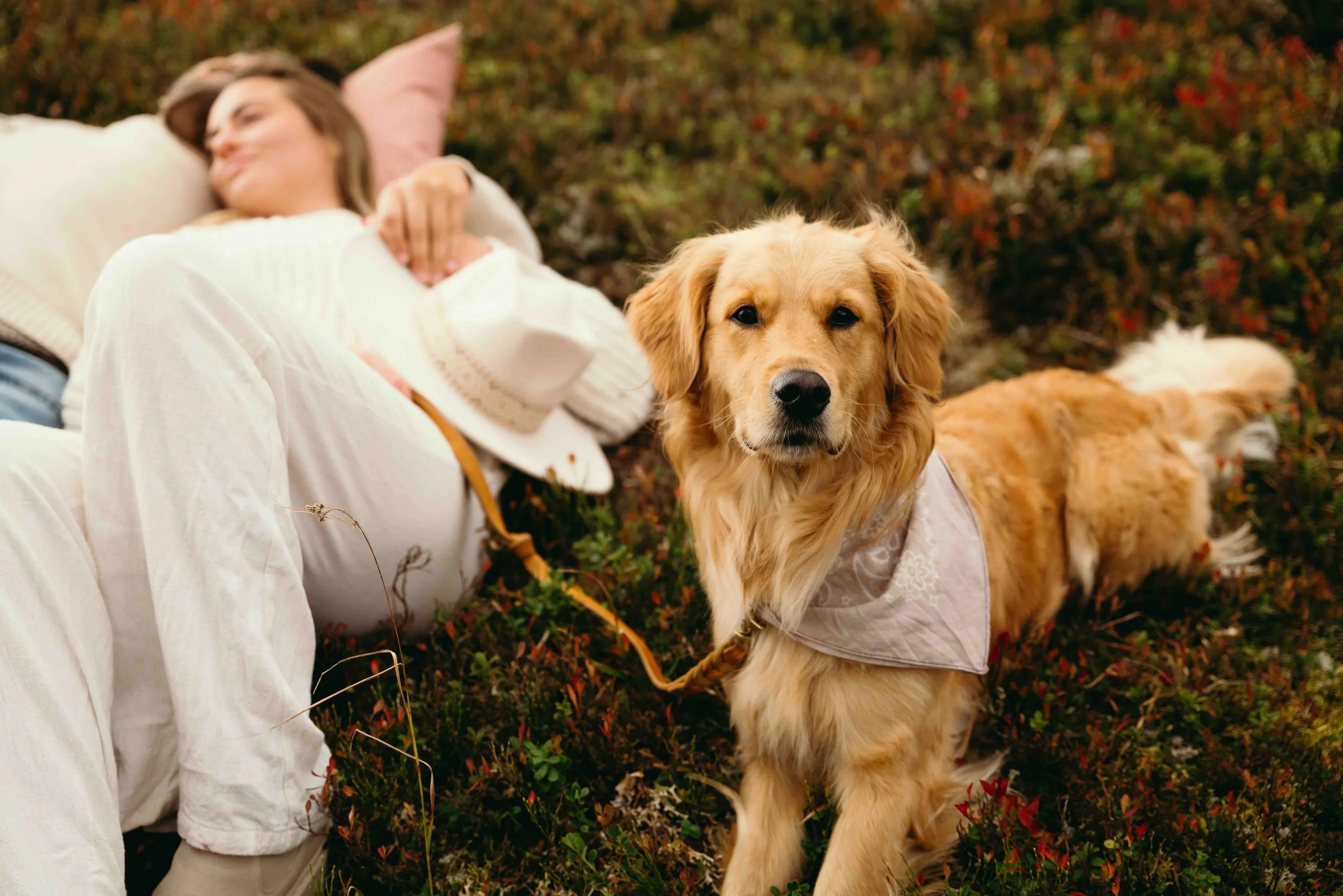 _STH_ST. Martin Chalets_Karl Steinegger_64.jpeg