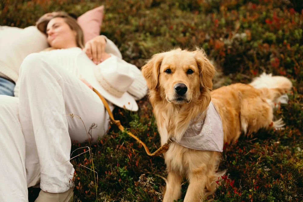 _STH_ST. Martin Chalets_Karl Steinegger_64.jpeg