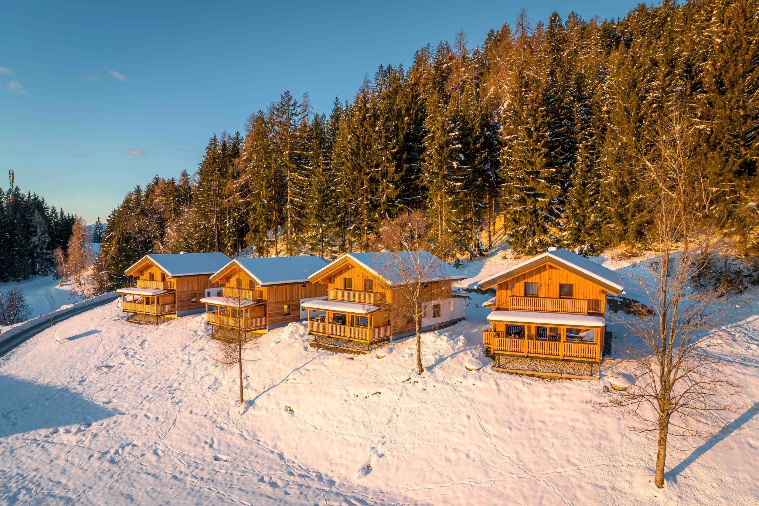 Hochleben Chalets am Steinerhof in Kärnten (3).jpeg