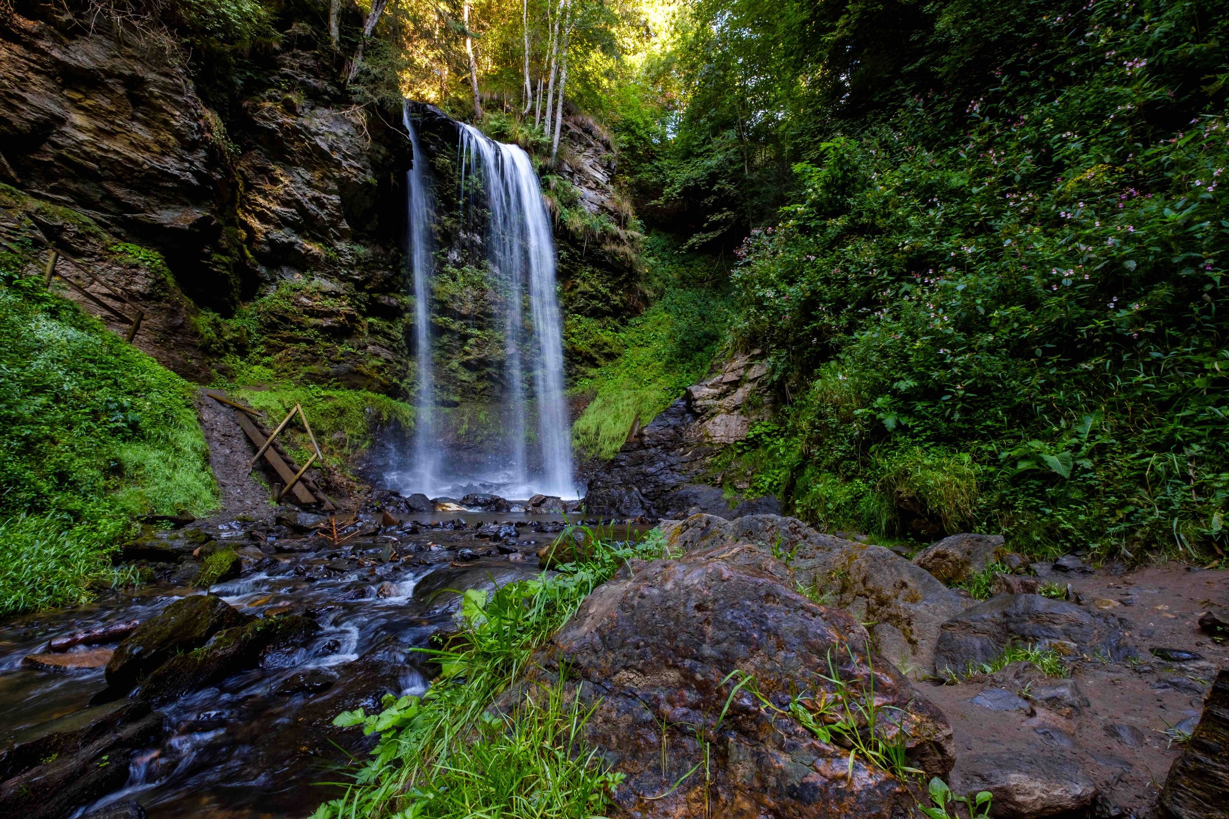 Hochleben Chalets am Steinerhof in Kärnten (91).jpeg