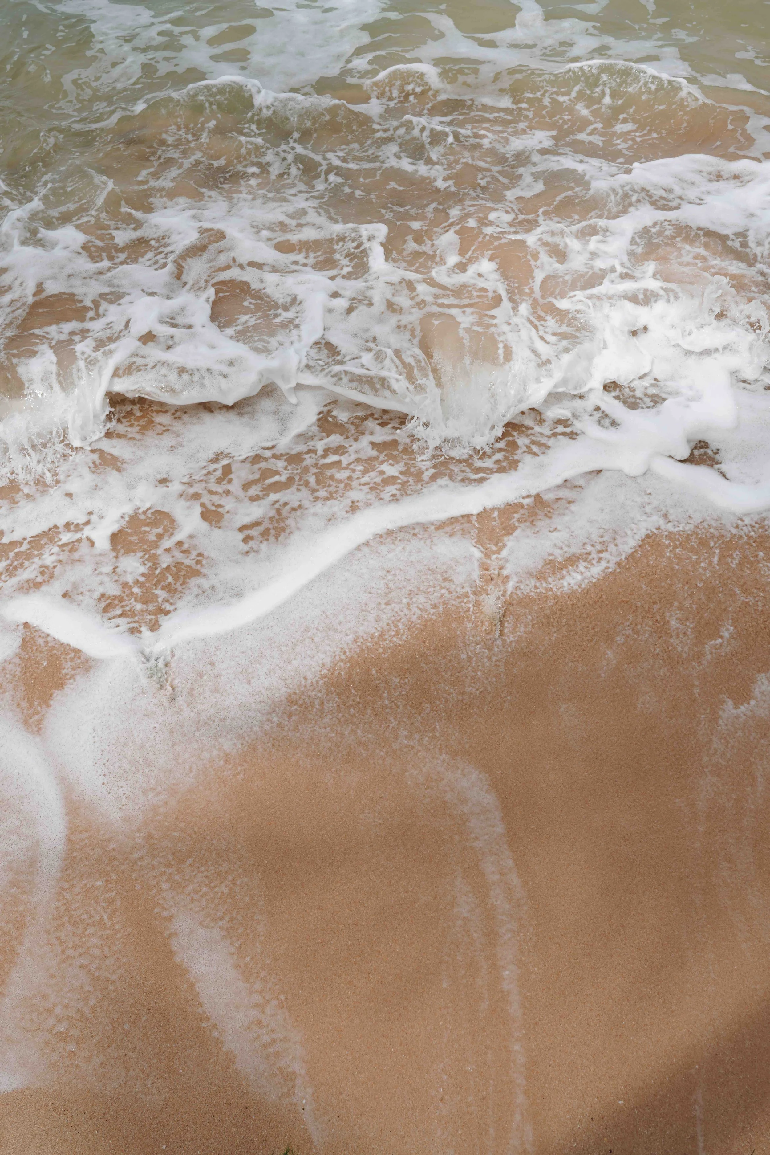 KK Collection_18.jpeg