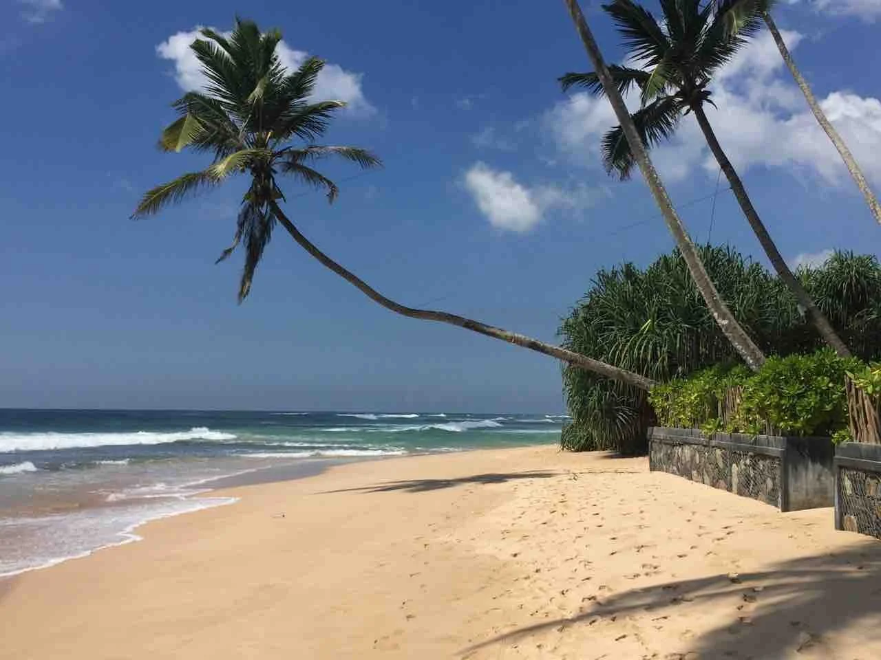 KK Collection_21.jpeg