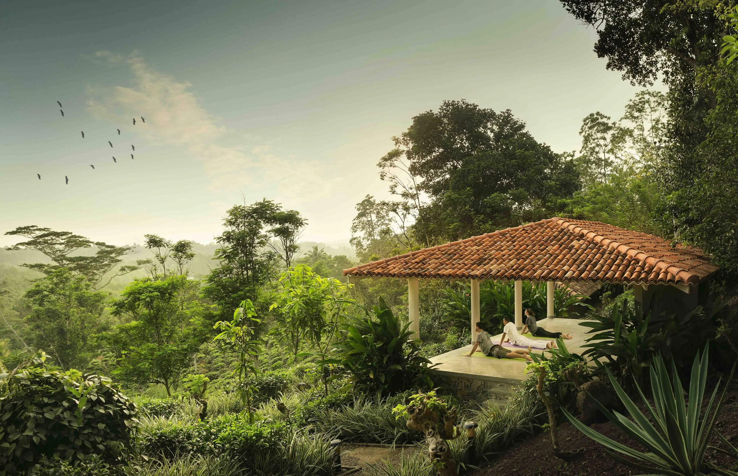 KK Collection_27.jpeg