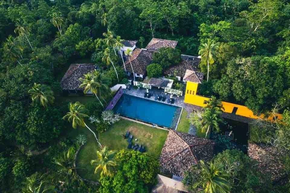 KK Collection_26.jpeg