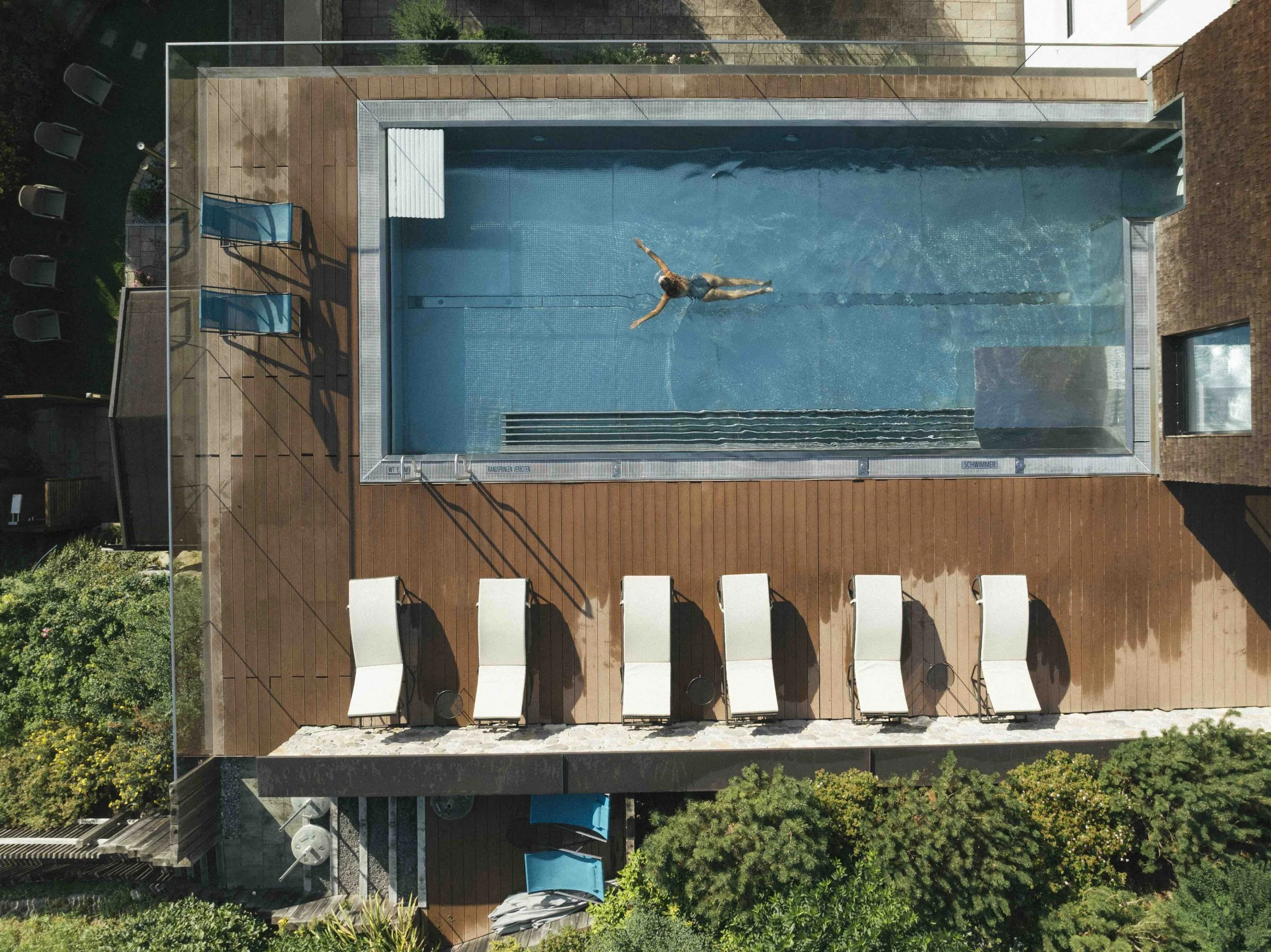 Schwarzer Adler_Sommer_5.jpeg