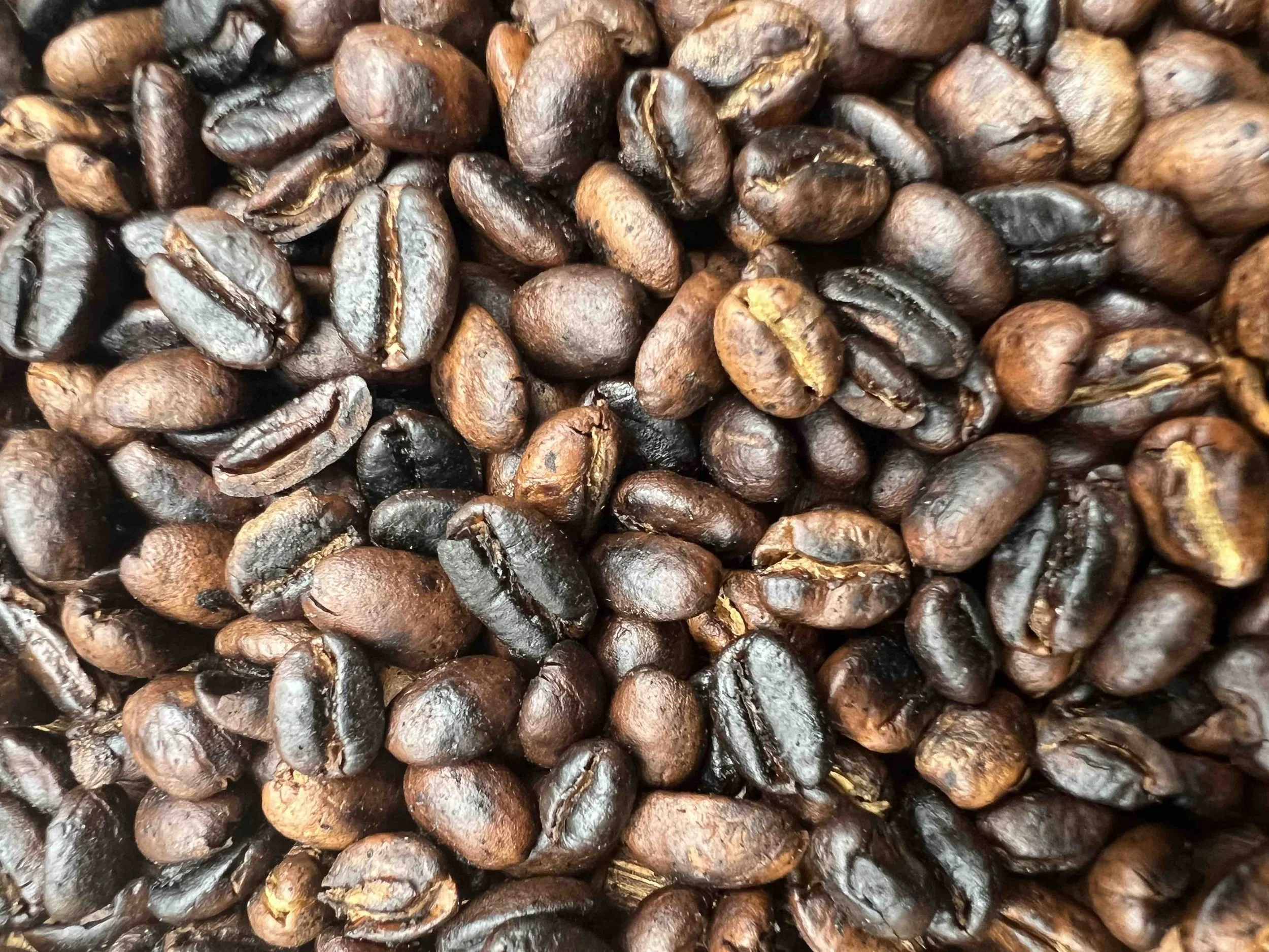 Vom Ursprung bis zur Tasse: Die Magie der Kaffeeproduktion in Afrika – und 10 besondere Coffee Spots weltweit