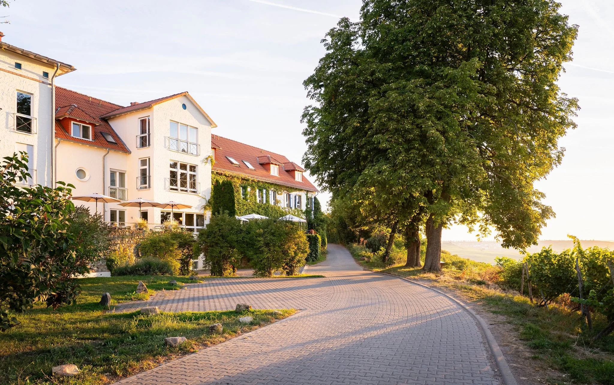 HOFGUT WISSBERG – Das Weinberghotel