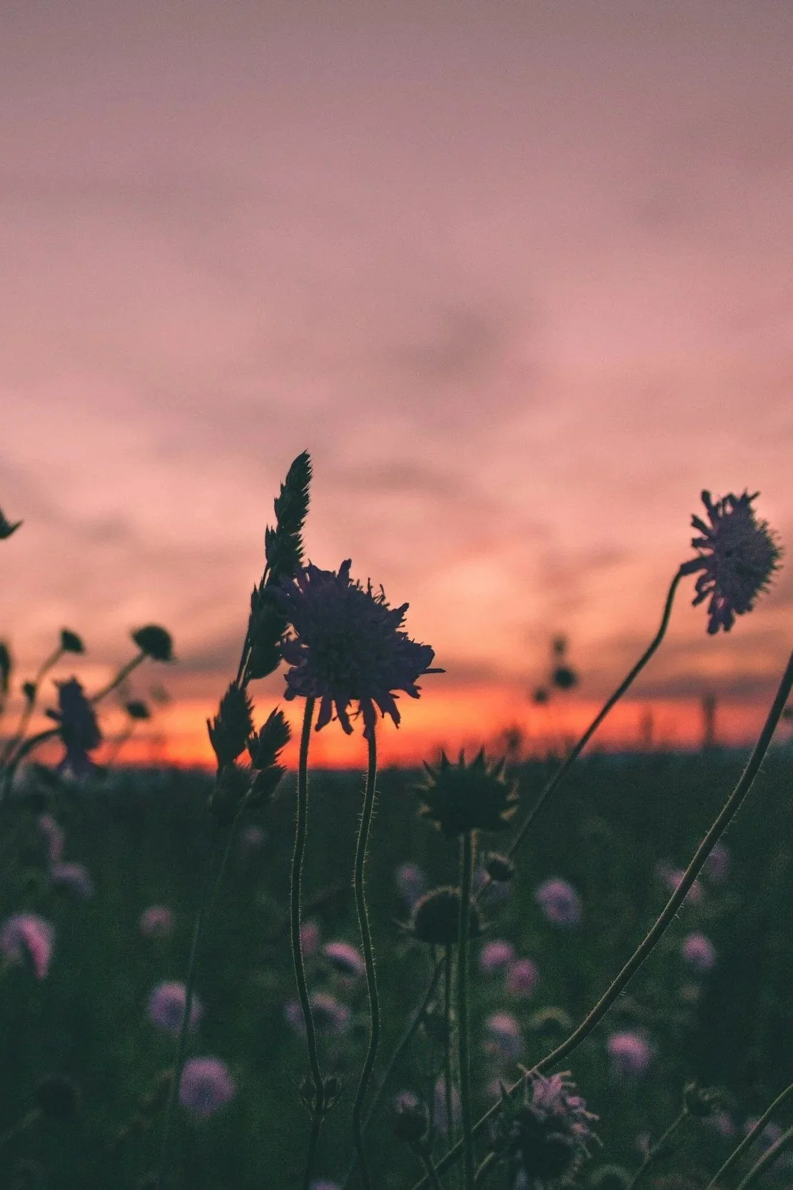 unsplash-image-xYIuqpHD2oQ.jpg