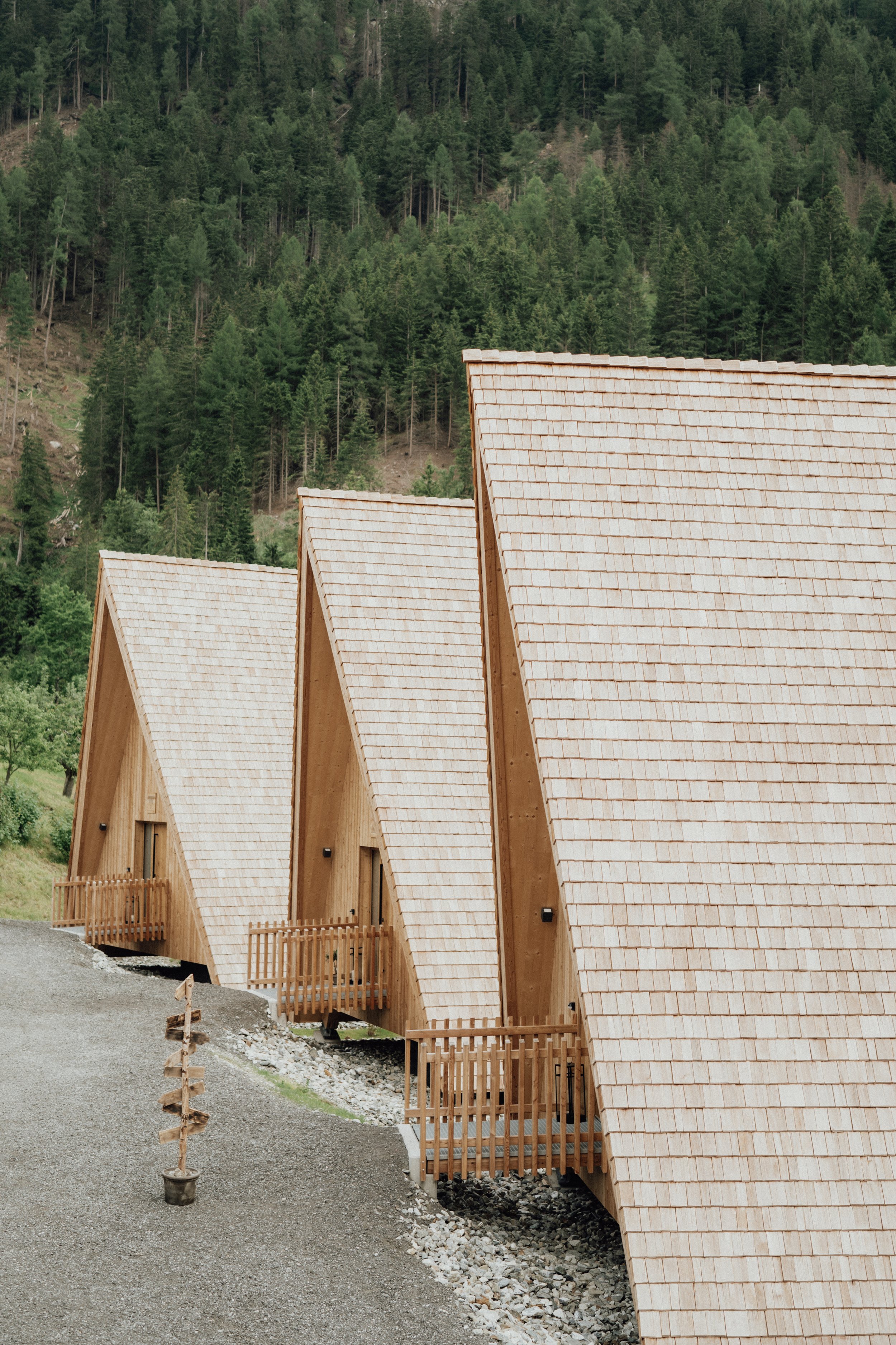 DSC09614.jpg
