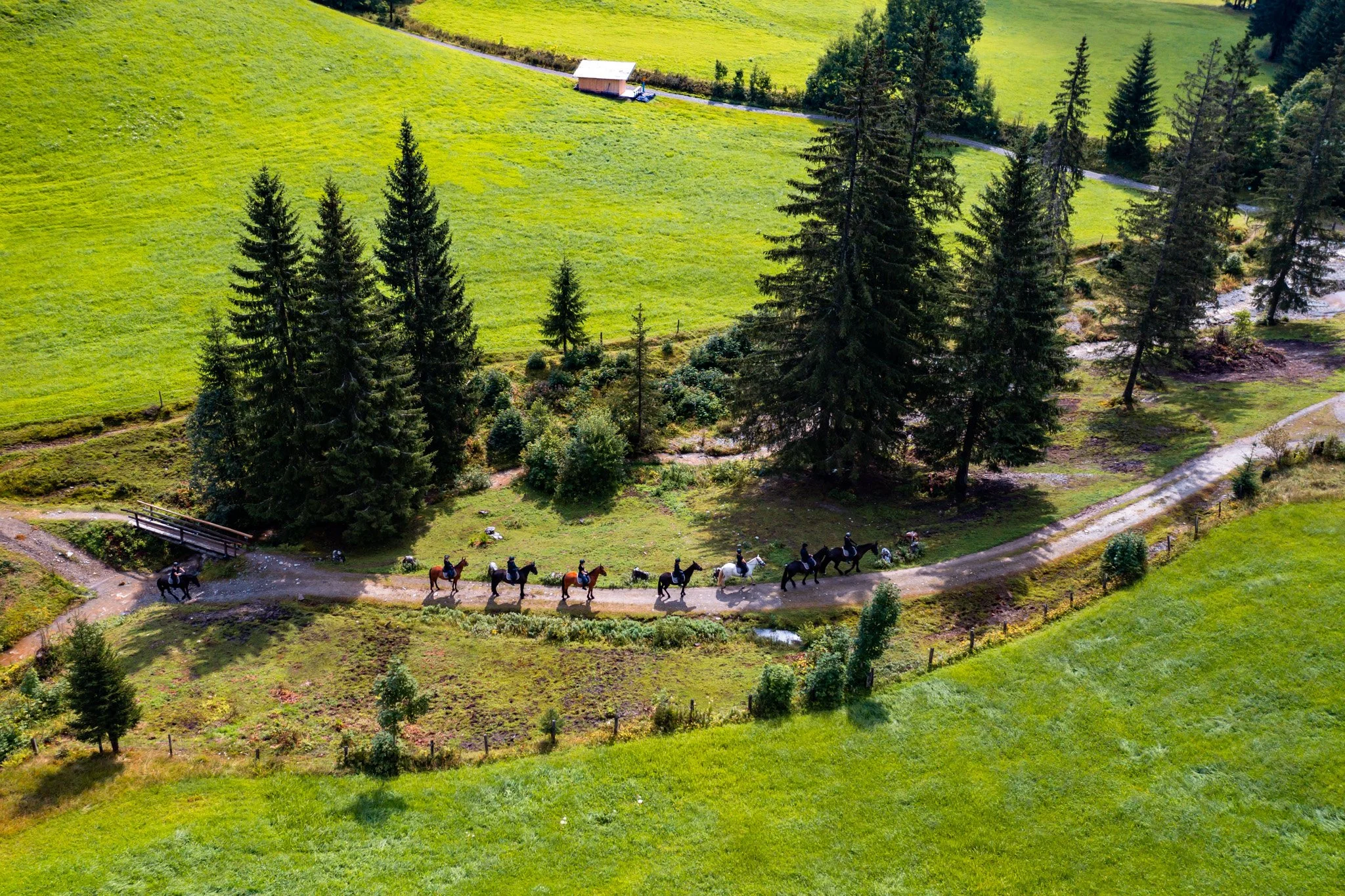 DJI_0027.jpg