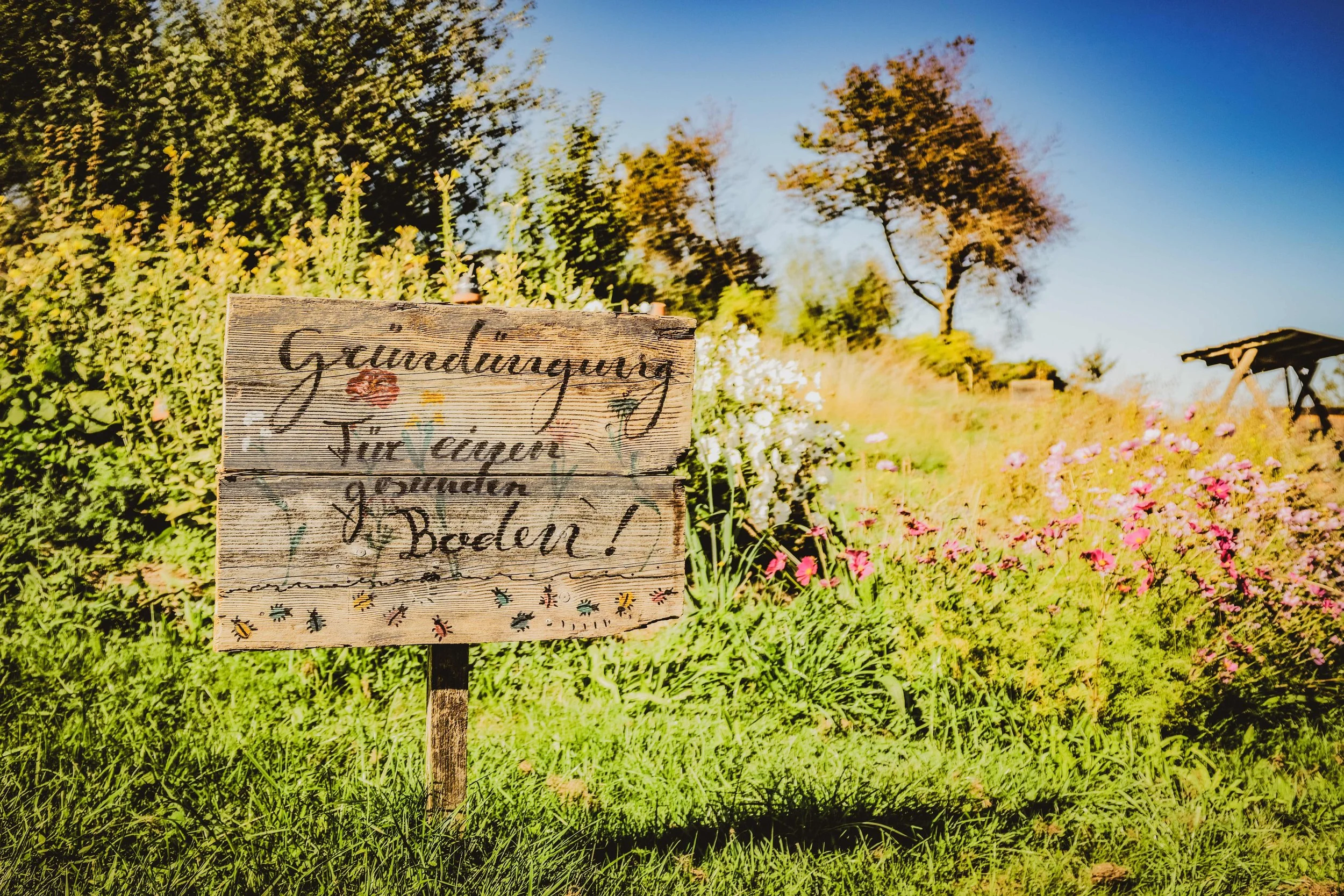 Frei-Hof_garten_sommer0228.jpg
