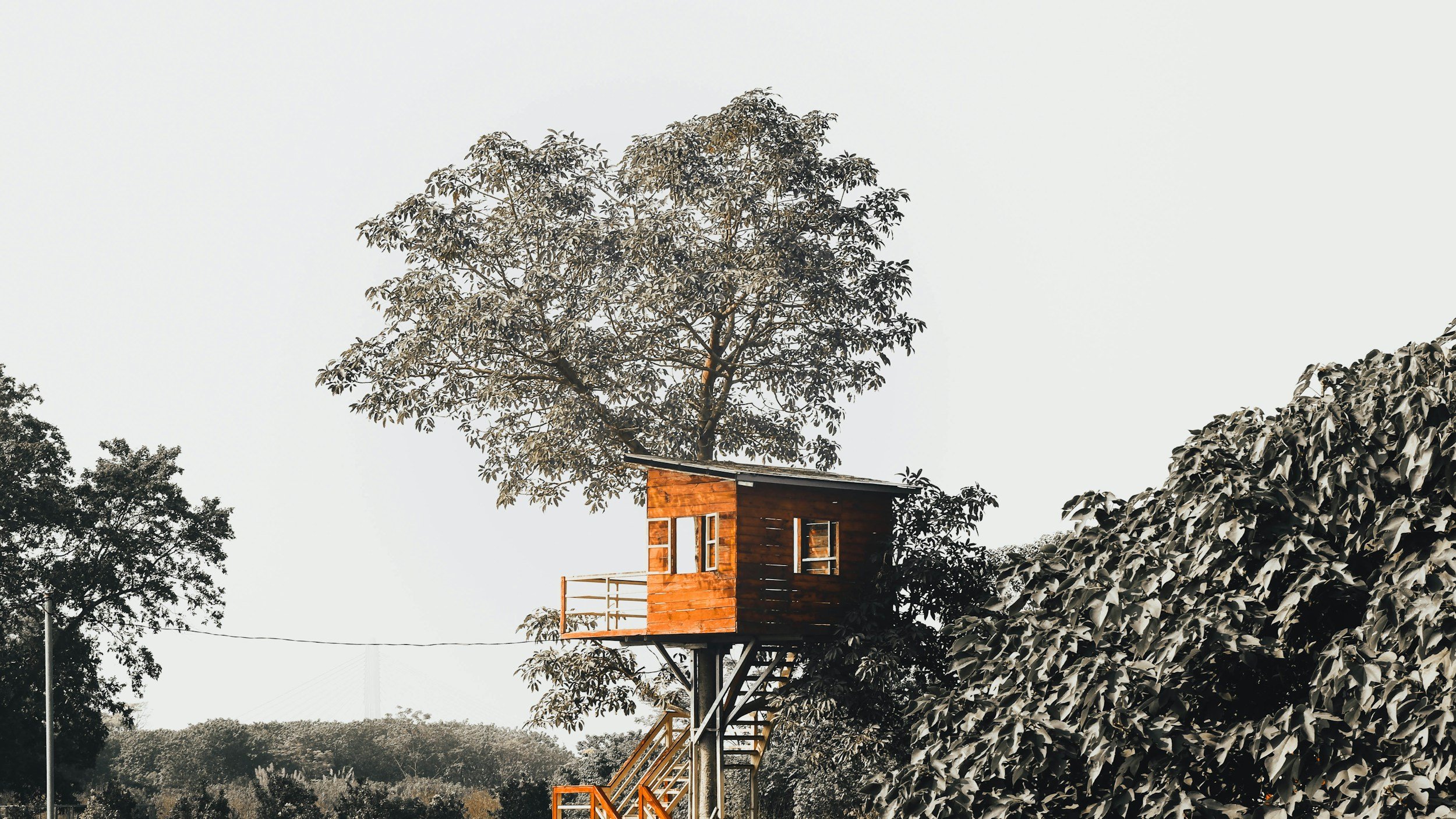 unsplash-image-t4moR2kA_dw.jpg