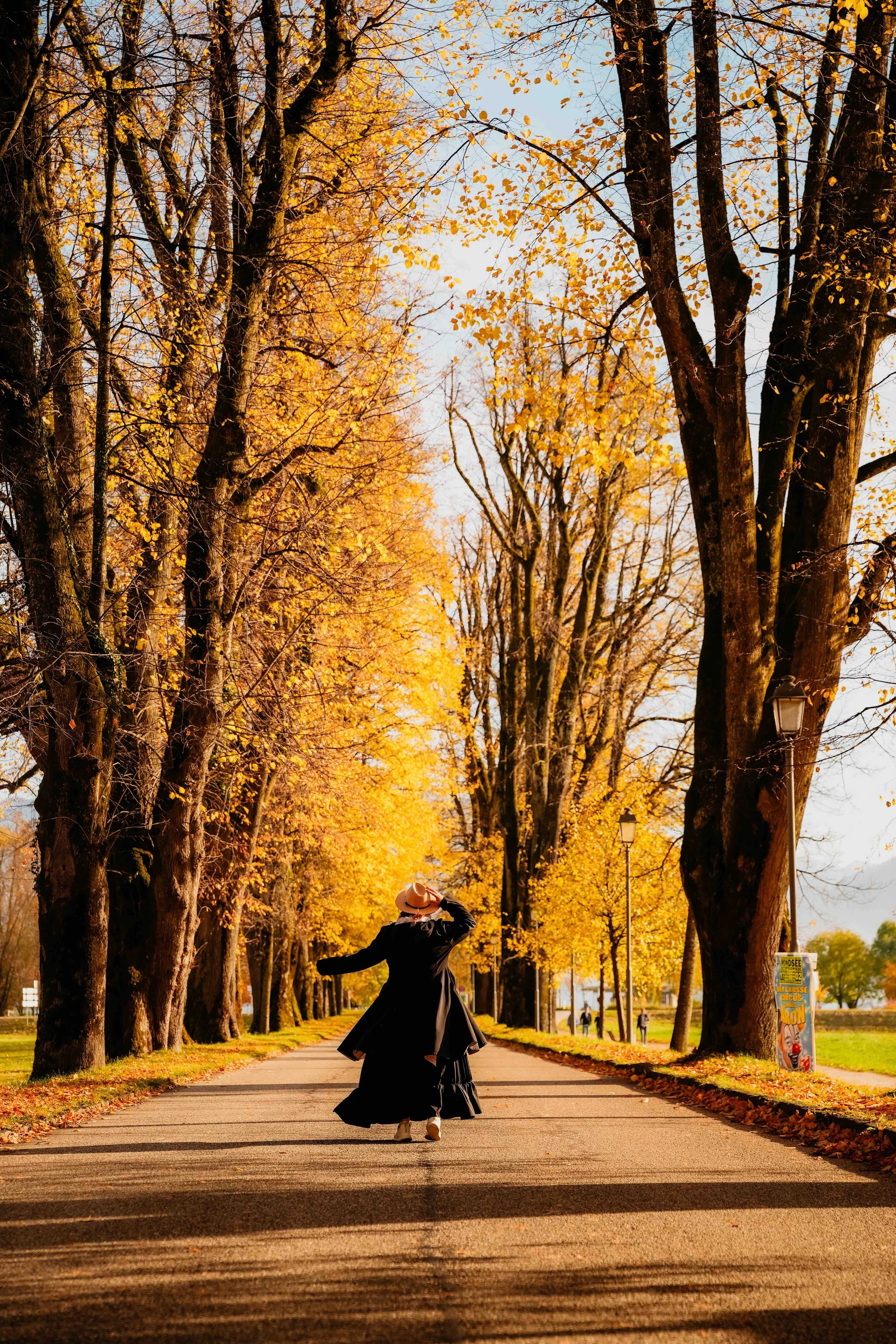 Herbst_1.jpeg