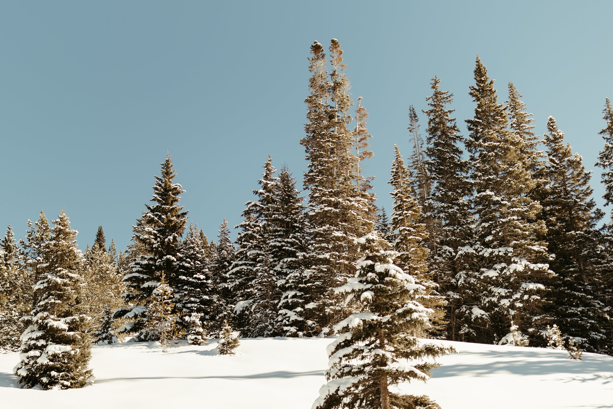 Vail Winter Blue Sky.jpg