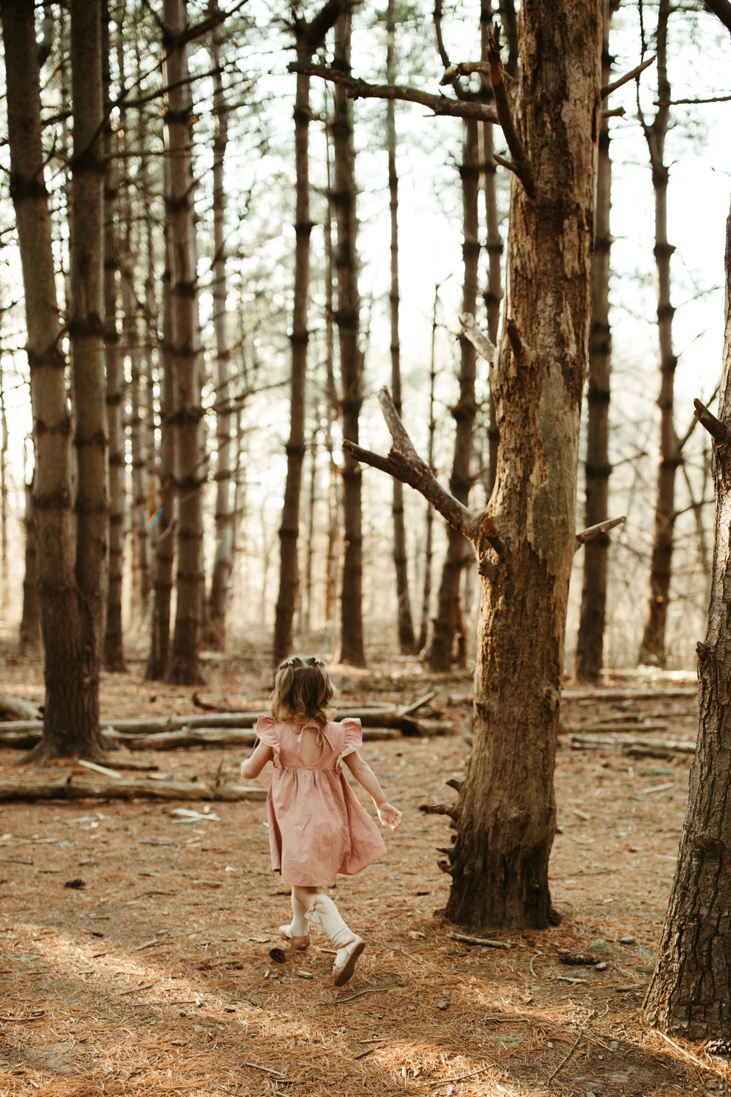 Todder Photography.jpg